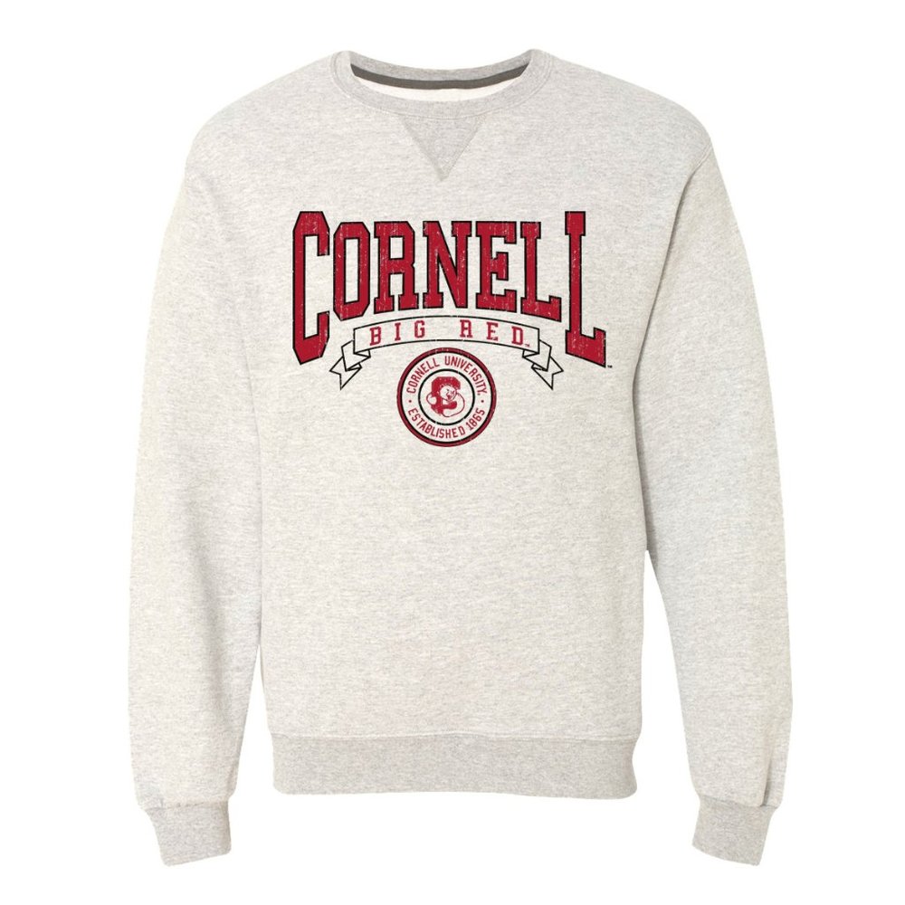 NWT Vintage-Style Cornell Pullover Sweatshirt M